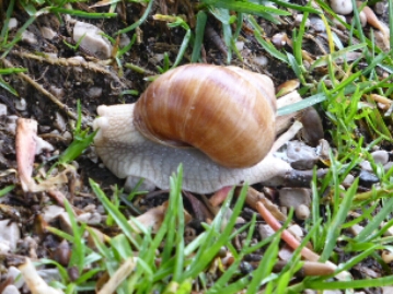 1050424.jpg image
